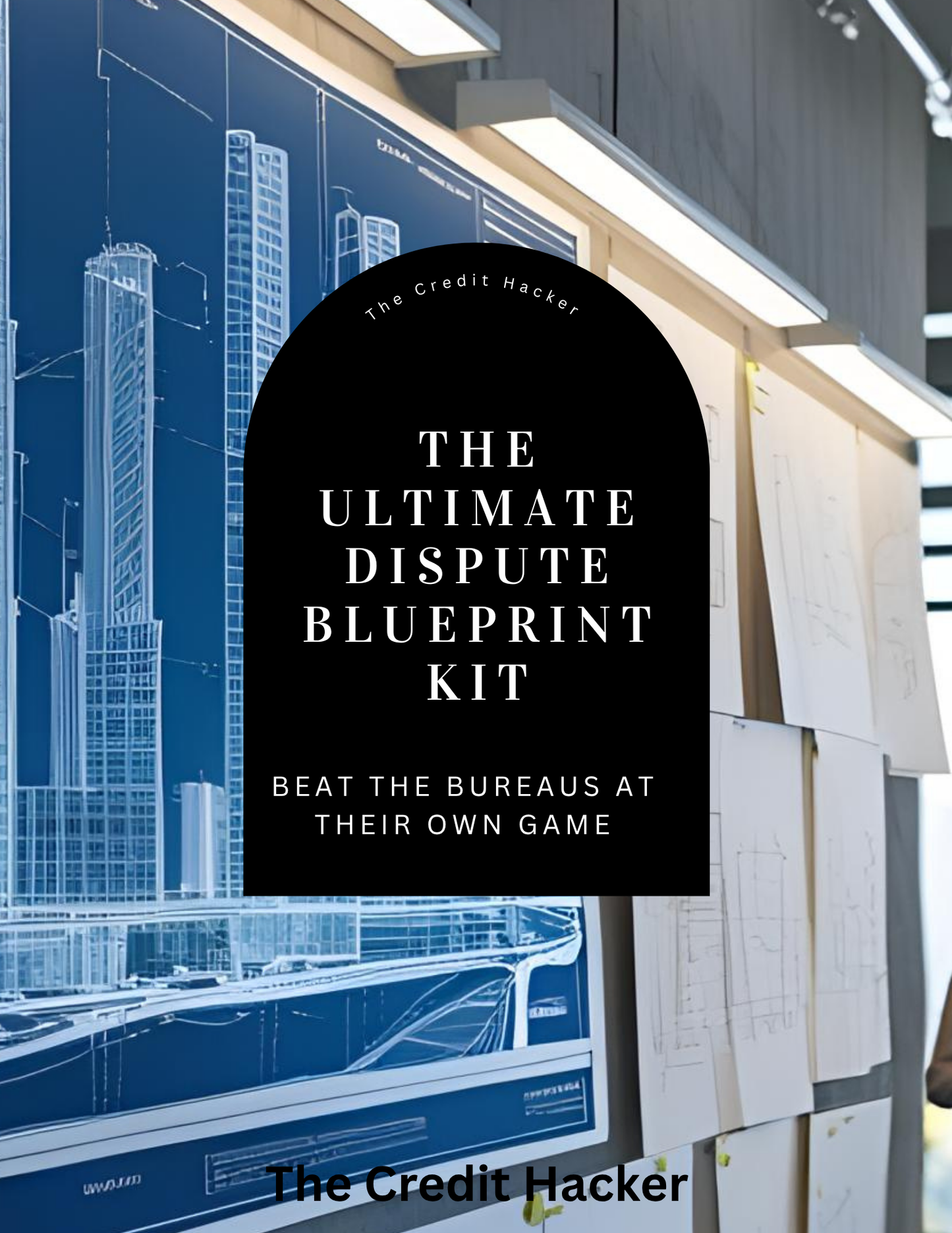 The Ultimate Dispute Blueprint (U.S. Based)