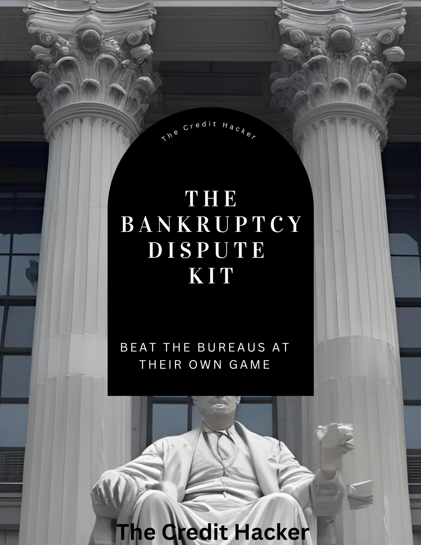 The Bankruptcy Dispute Kit (U.S. Based)