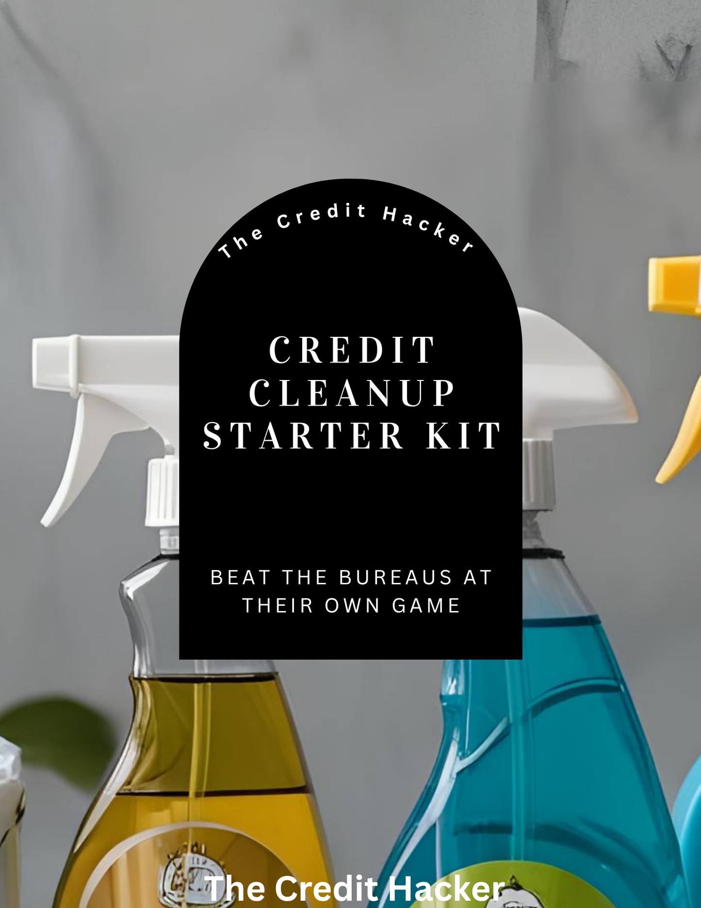 The Credit Cleanup Starter Kit (U.S. Based)